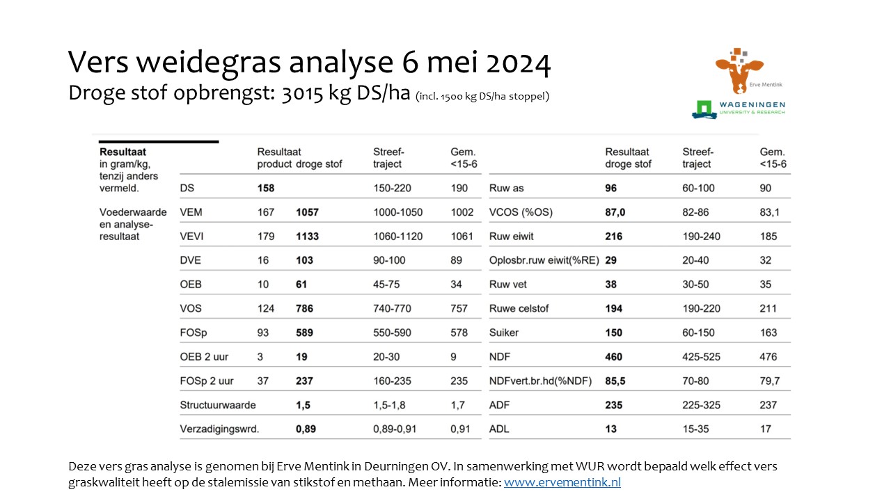 31f4d120-136a-11ef-9640-bf137b1bd999-vers-weidegras-20240506.jpg
