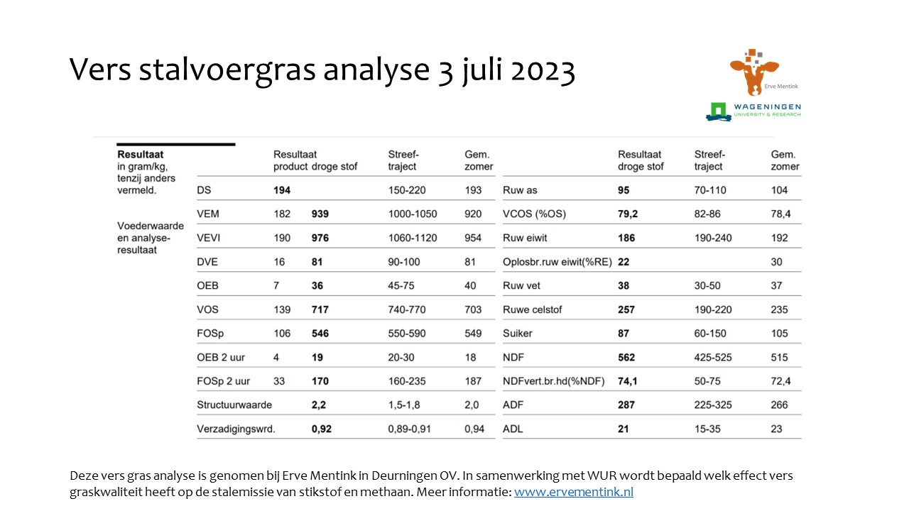 4596ba00-1de2-11ee-8866-b3b87c6a9b58-vers-maaigras-20230703.jpg