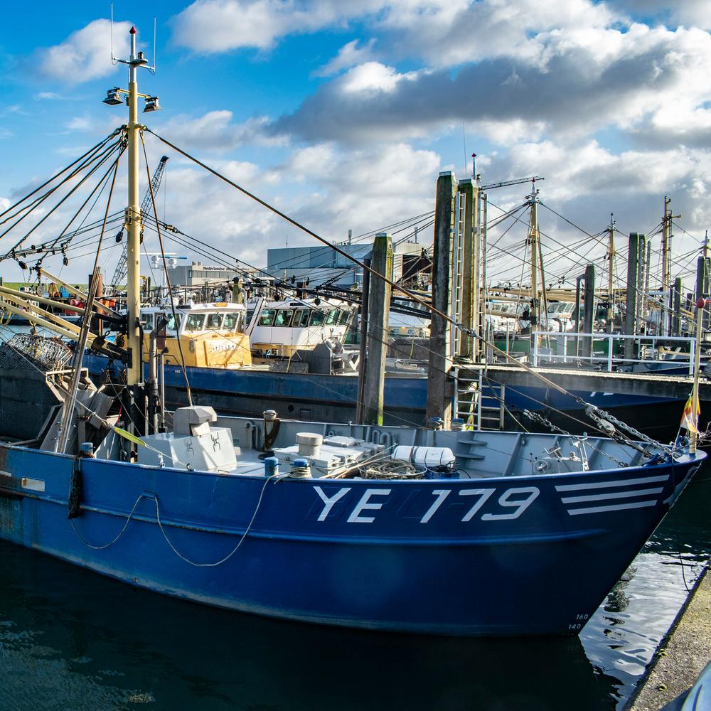 Vissersboot in de haven van Yerseke