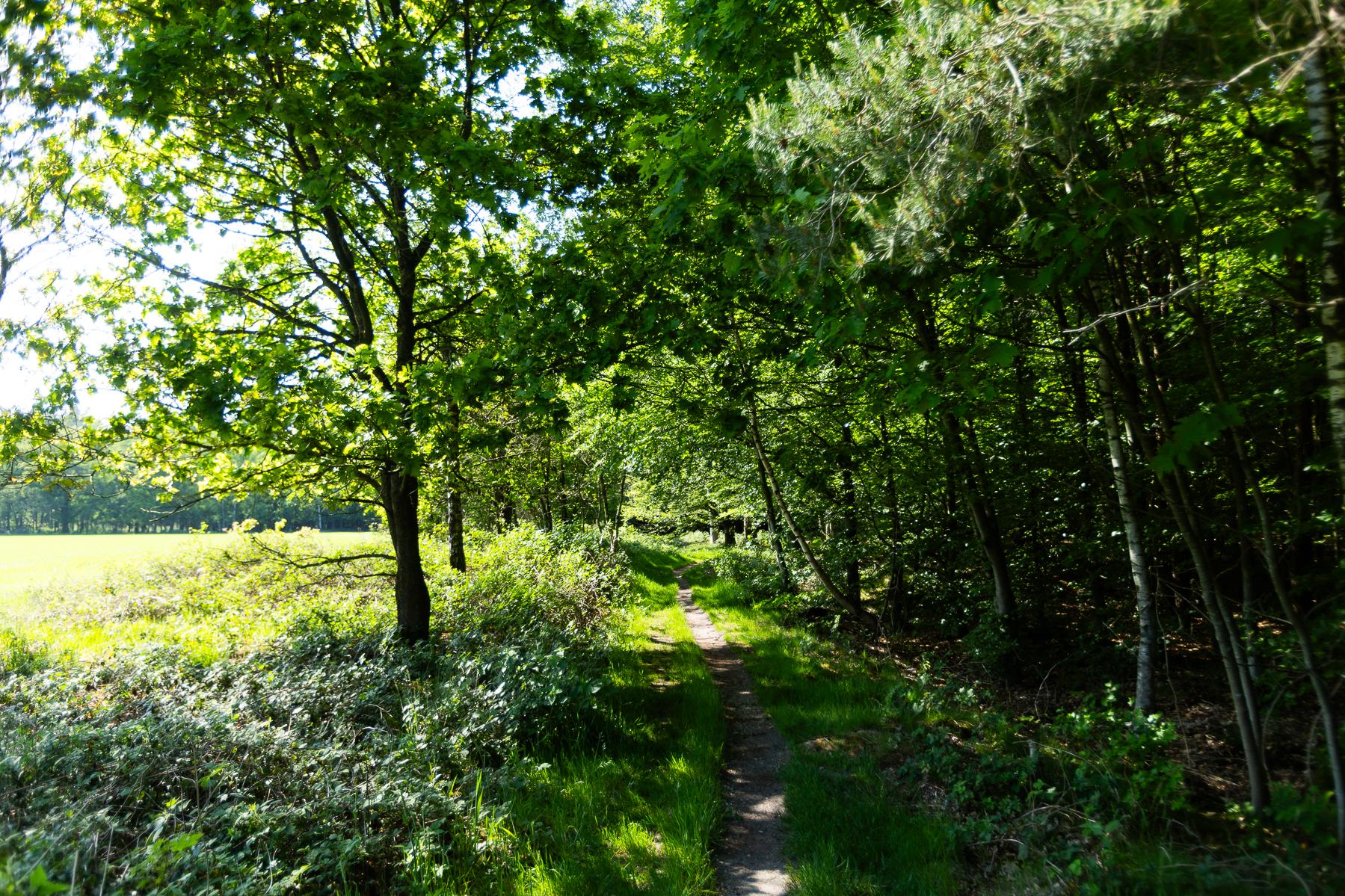 Sfeerbeeld Vaassen 4