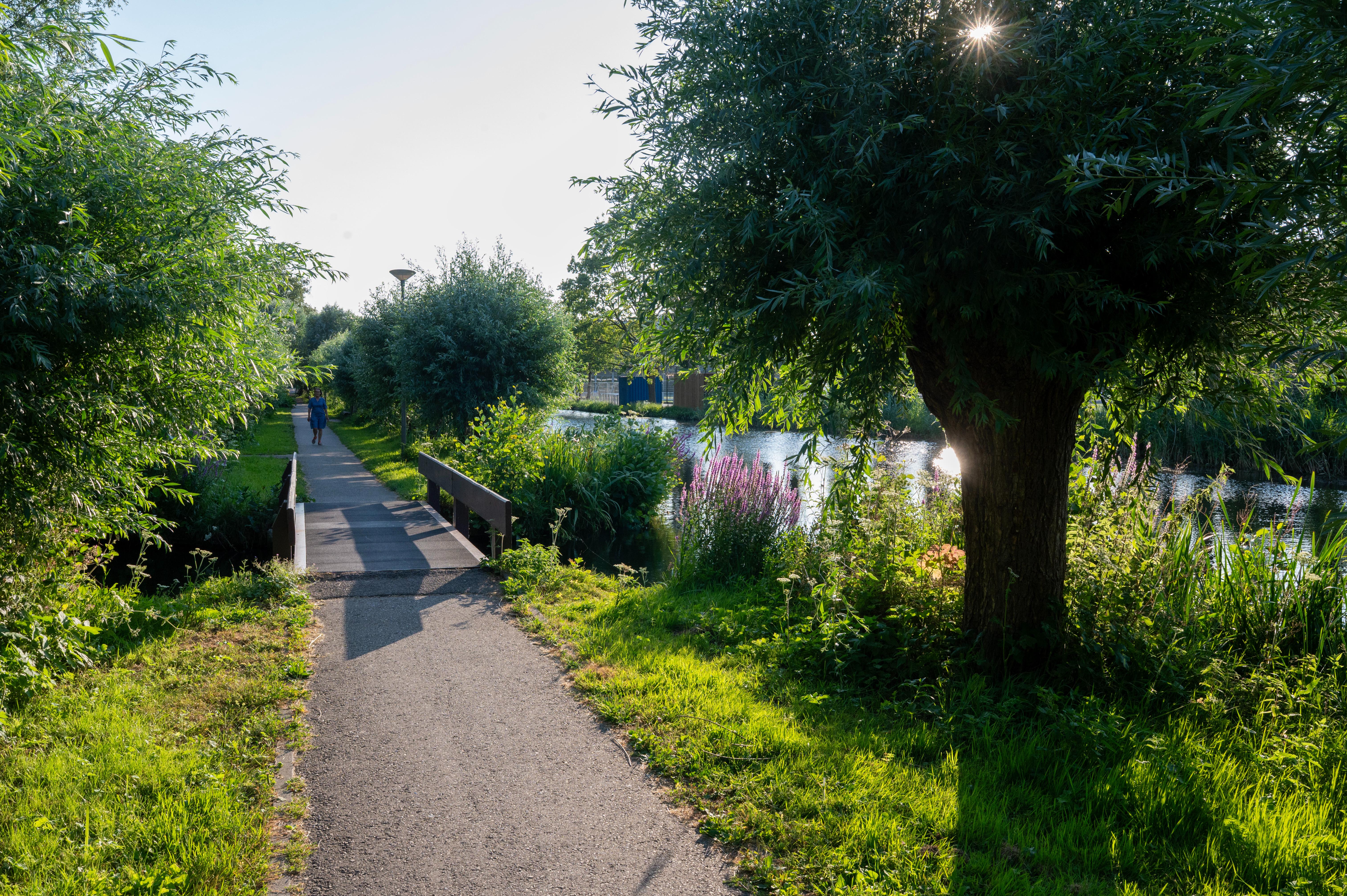Wandel- en fietsroute in het groen