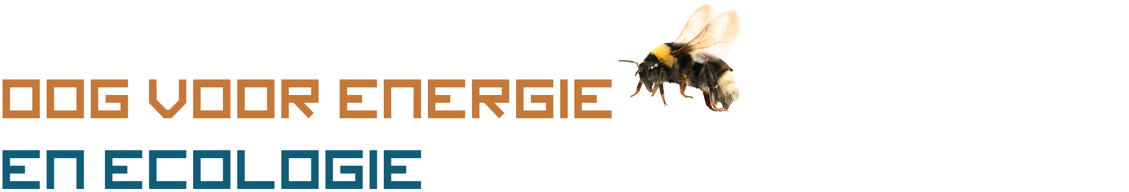 3cfb17c0-03d5-11eb-bb64-4b0b61acb76c.png