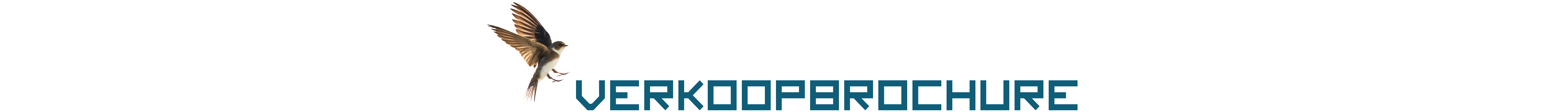 cb8e7eb0-25bf-11eb-b458-c91b07d53643.png
